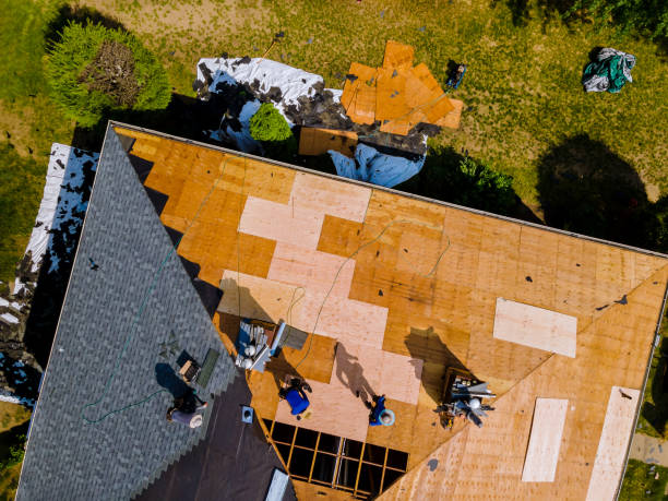 Roof Waterproofing Services in Shady Hollow, TX